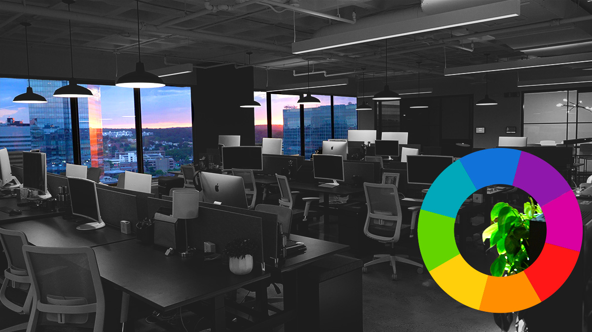 How to use color to reach the right audience | C&A Digital